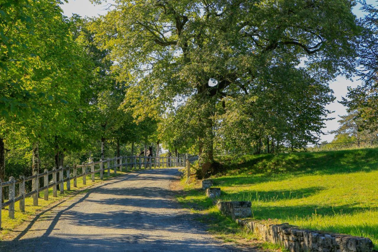 Logis Hotels Domaine Du Chatelard Dirac Eksteriør billede