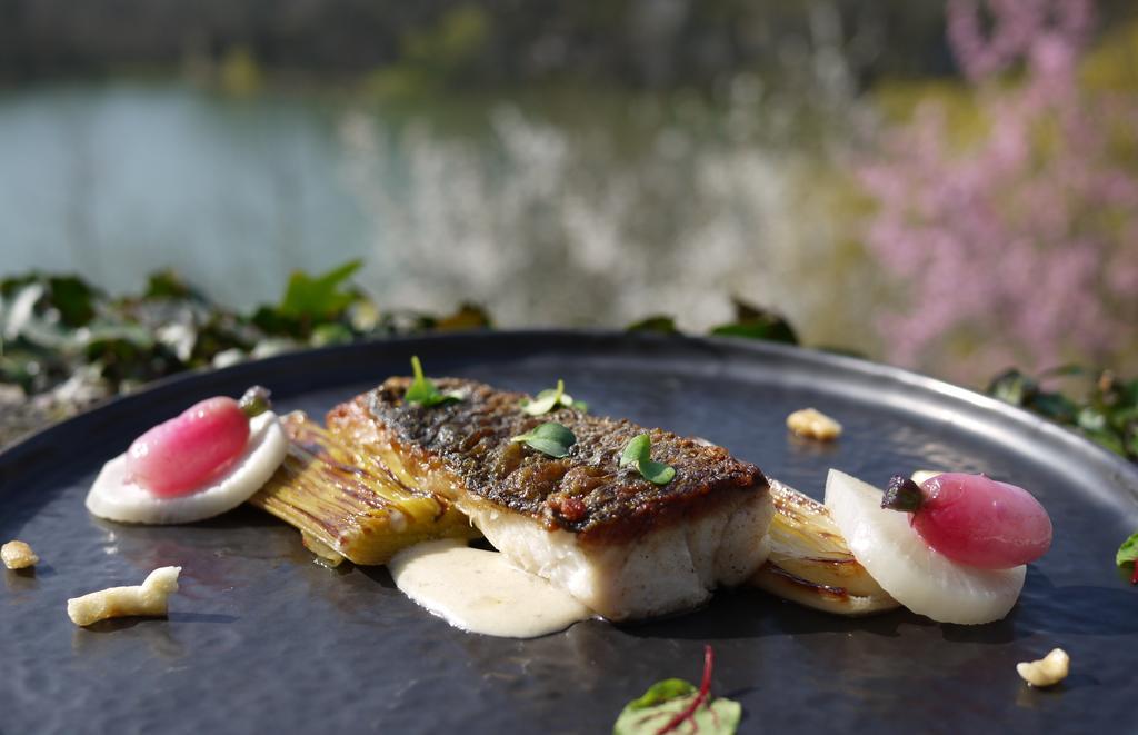 Logis Hotels Domaine Du Chatelard Dirac Eksteriør billede